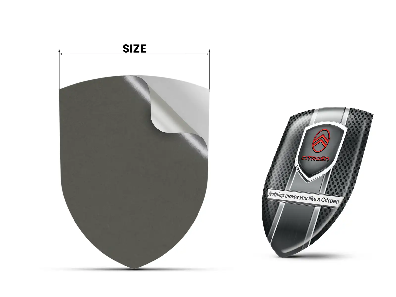 Citroen Insegne Auto Pro Max Resiliente Elegante Performance